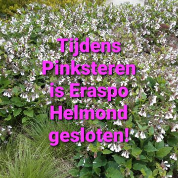 Eraspo Helmond Pinksteren